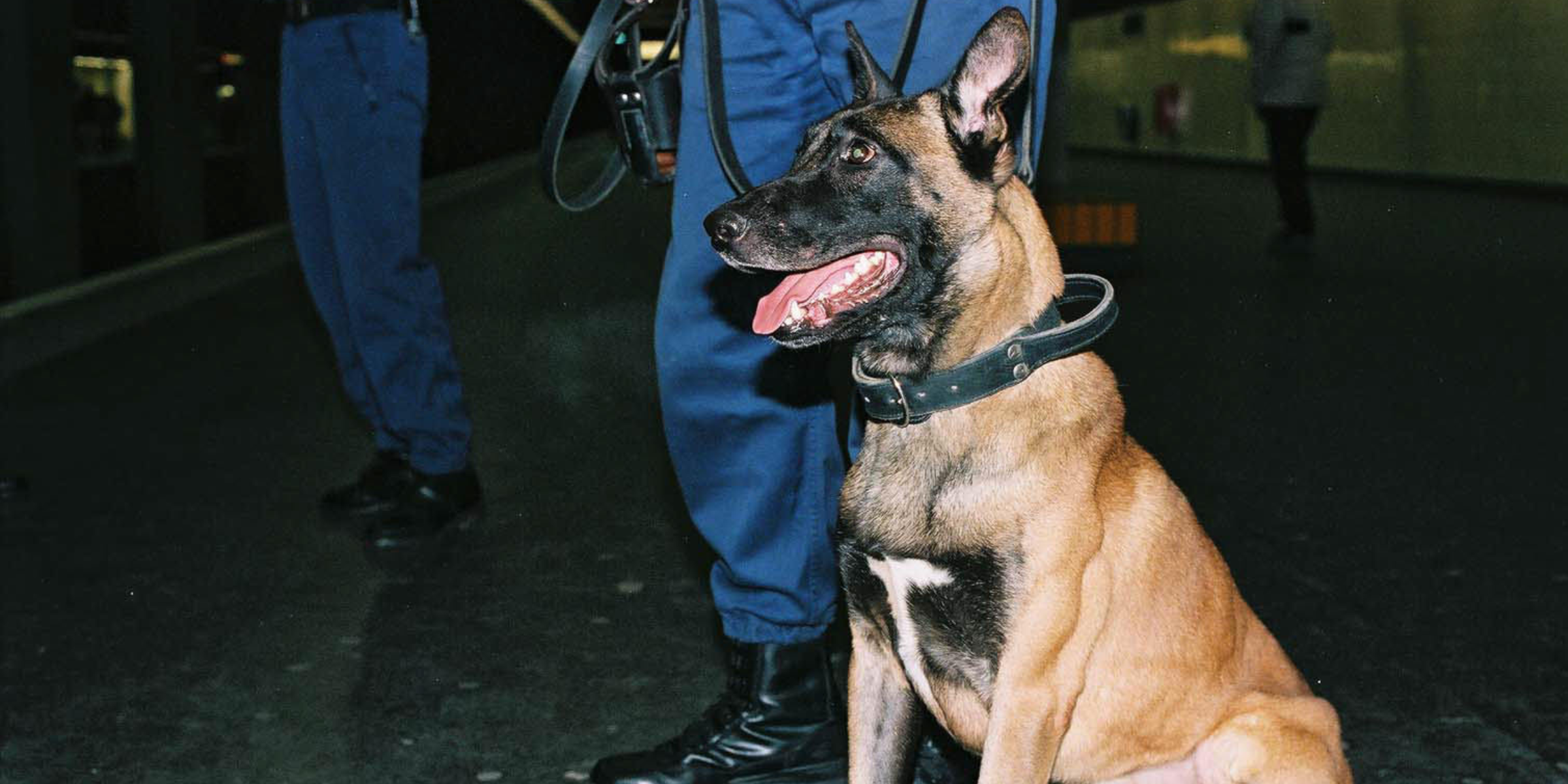 Brigade Cynophile RER B